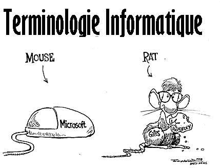 ms_terminologie.gif